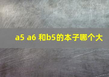 a5 a6 和b5的本子哪个大